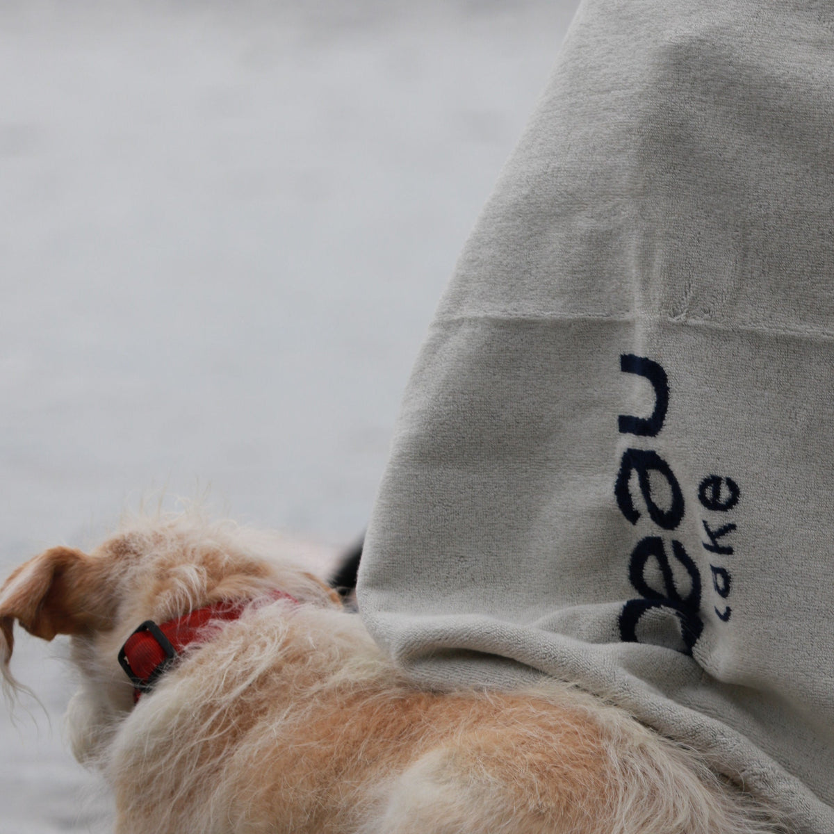 Beach Towel