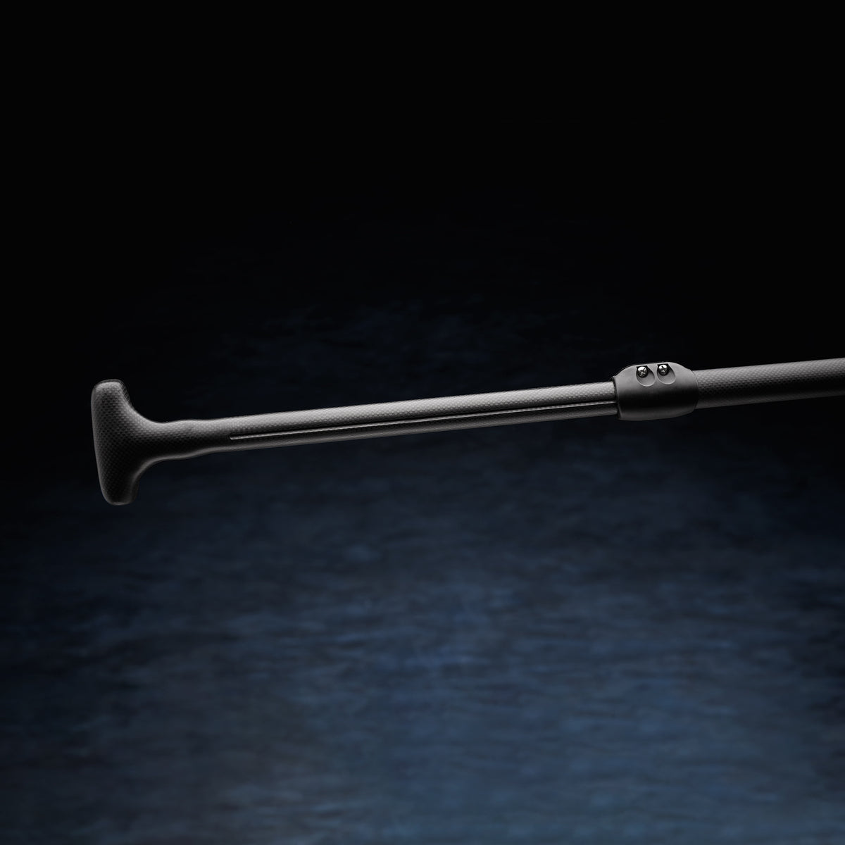 The Carbon