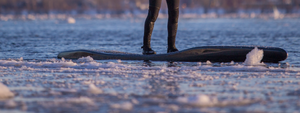 Hidden image 6